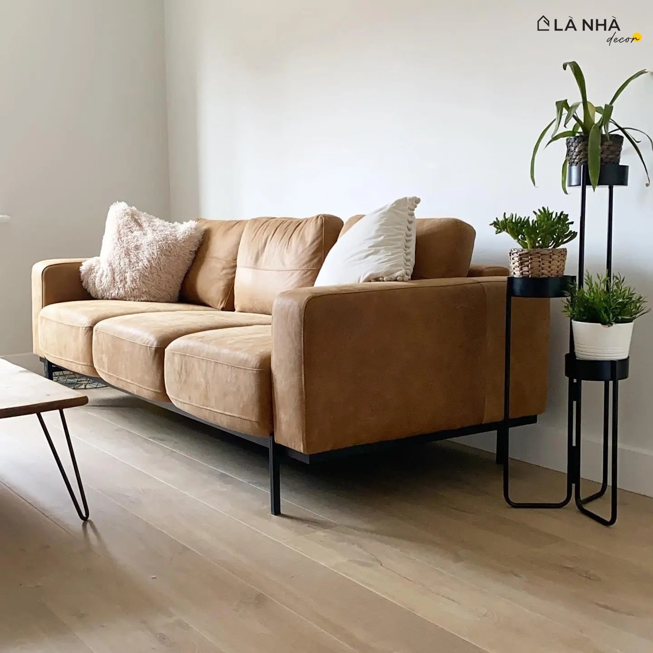 Chọn mua sofa tại cửa hàng thuận tiện cho việc đi lại